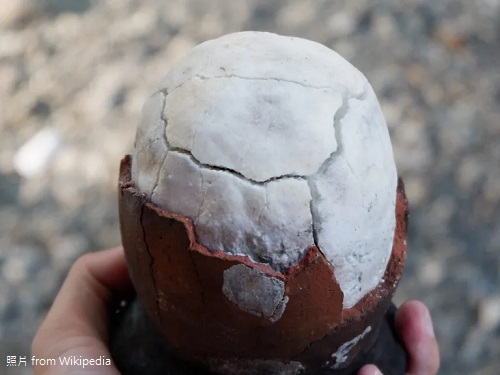 恐龍蛋 Asín tibuok